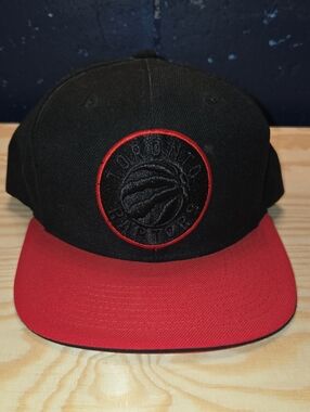 Mitchell & Ness - Toronto Raptors Modern Logo - NBA  Snapback Hat